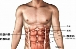 トレーニングについて