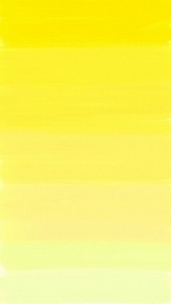 熱中症について