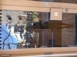 リニューアル！