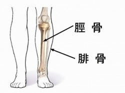 オリンピックにて