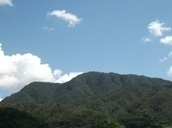 山火事・・・・