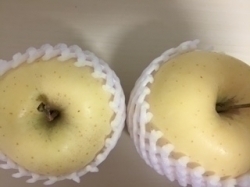 食いしん坊ブログ