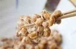 食いしん坊ブログ