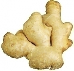 昨日とは打って変わって・・・