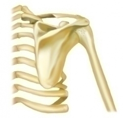 ソフトバンク松坂選手・・・