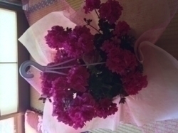 母の日ネタかとおもいきや・・・