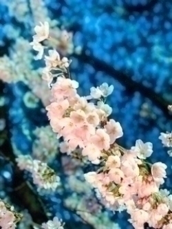 くだらない話！