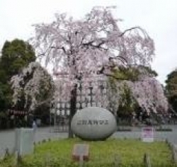 上野公園