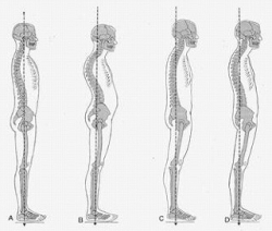 座っていても腰が痛いよーと感じている方・・・