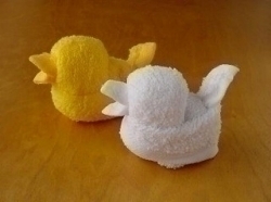 はじめました~♪