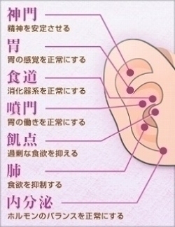 やせようぜ！！