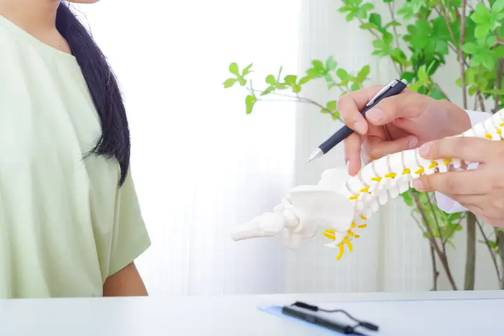 身体構造を理解し、体の歪みや関節の痛みを治しましょう