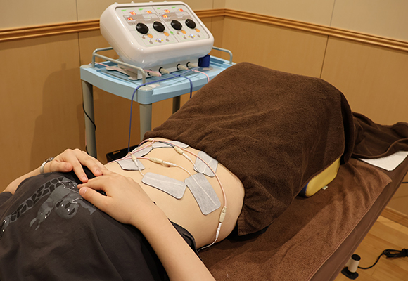 バイトレ バイオトレーナ EMS バイオトレーナー バイトレ バイオトレーナ EMS 送料無料】 大島製作所